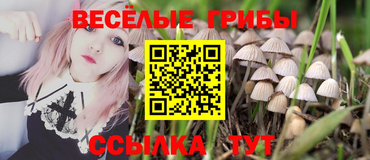 Галлюциногенные грибы GOLDEN TEACHER Дербент