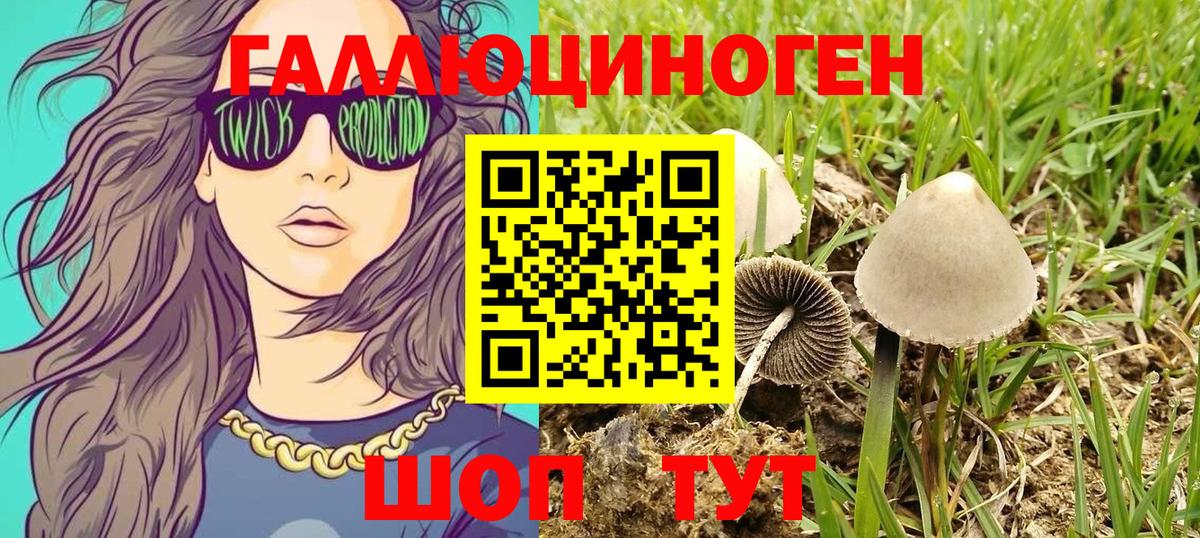 Псилоцибиновые грибы MAGIC MUSHROOMS  Вход с VPN  Псилоцибиновые грибы мухоморы  дарнет шоп  Дербент 
